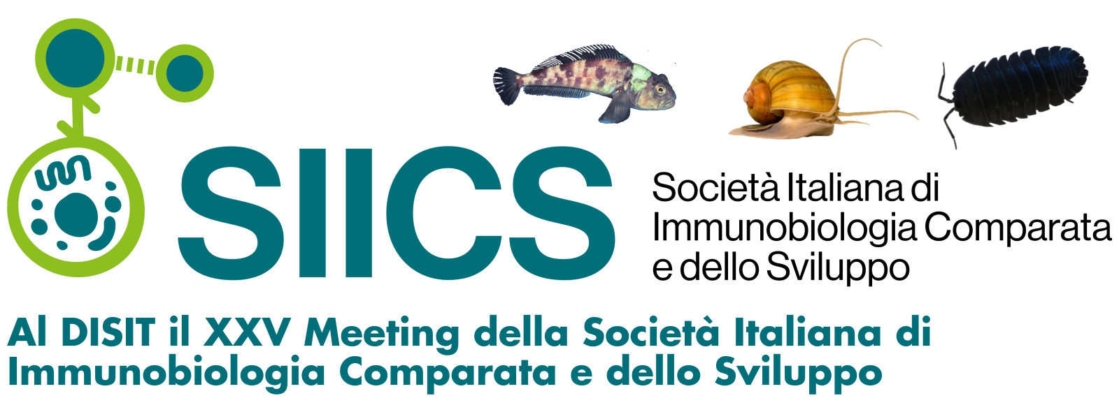 Al DISIT, dal 19 al 21 febbraio, il XXV Meeting della Società Italiana di Immunobiologia Comparata e dello Sviluppo