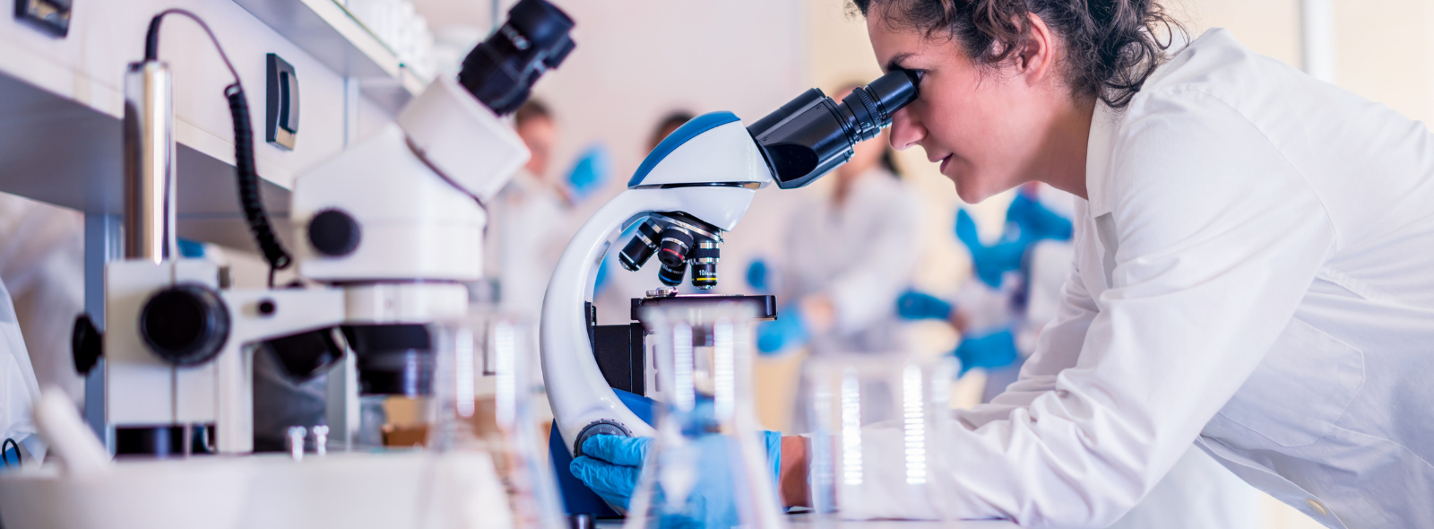 Donna guarda dento microscopio